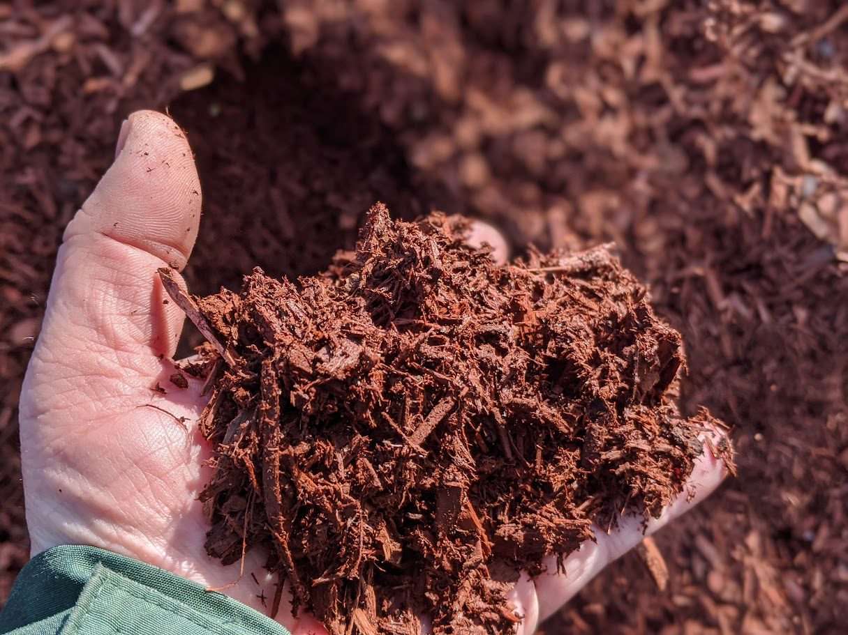 Close-up of a hand holding a fresh scoop of reddish-brown shredded mulch, with a mulch pile in the background.
